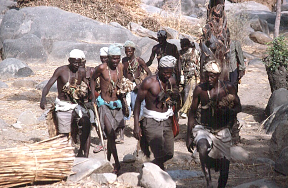 Biy gwala arrive to release their first bull